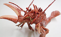 �S�W���I�[�i�����g ���B��S��Ver.2�@��C�̑匈����