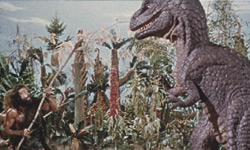 ����100���N