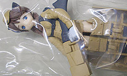 �R�i�~�t�B�M���A�R���N�V���� ���J��