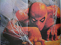 �E�F�u�L���m���X�p�C�f�B