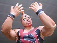 �������v���L�����}�� �����t�F�X����J���[