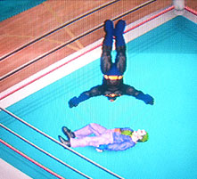 �G�b�t�F���E�h�E�p���V���[�g�I