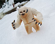 �����p�͋��N��������l�^�G