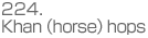 214.Khan(horse)hops
